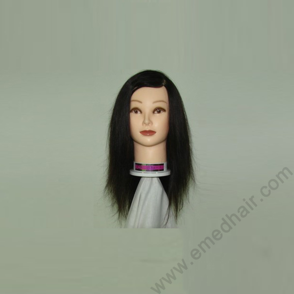 human hair training head